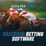 What Is Racebook Betting Software?