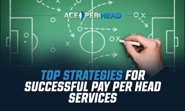 Top Strategies for Successful Pay Per Head Services