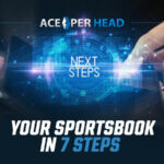 Your Sportsbook in 7 Steps