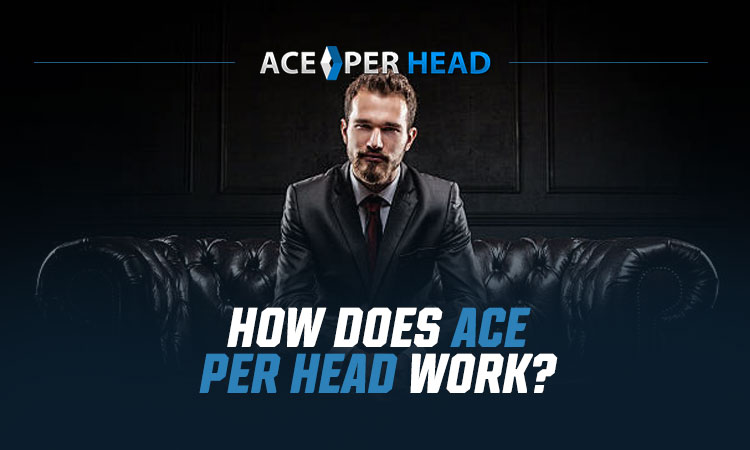 How Does Ace Per Head Work?