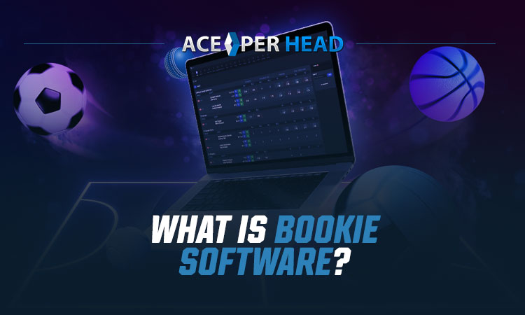 What Is Bookie Software