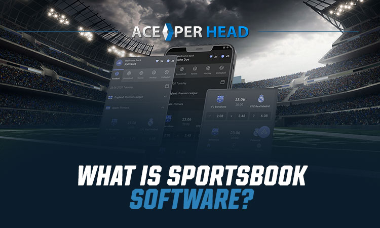 What Is Sportsbook Software