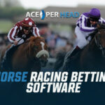Horse Betting Software Features