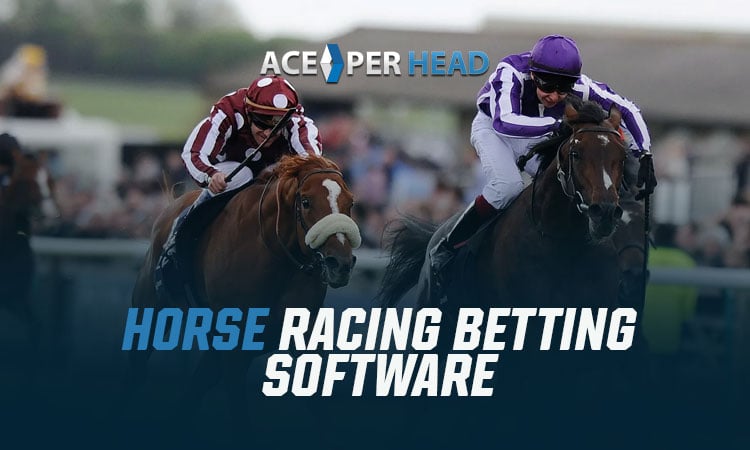 Horse Betting Software Features