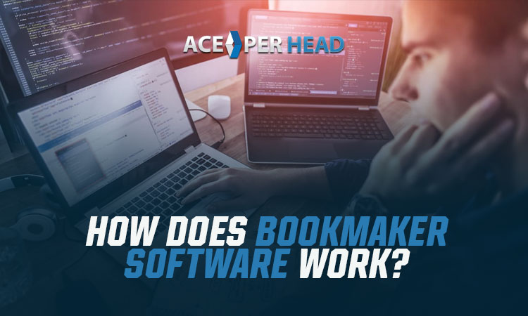 How Does Bookmaker Software Work?