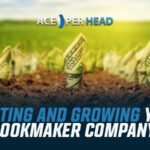The Ultimate Guide for Starting and Growing Your Bookmaker Company