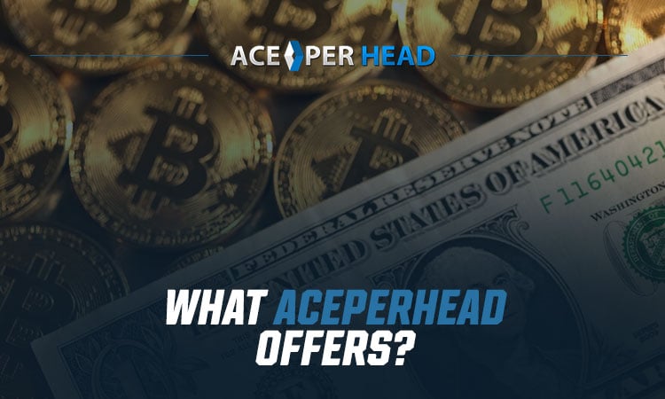 What AcePerHead Offers?