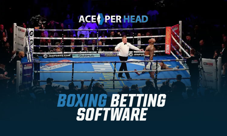 Boxing Betting Software
