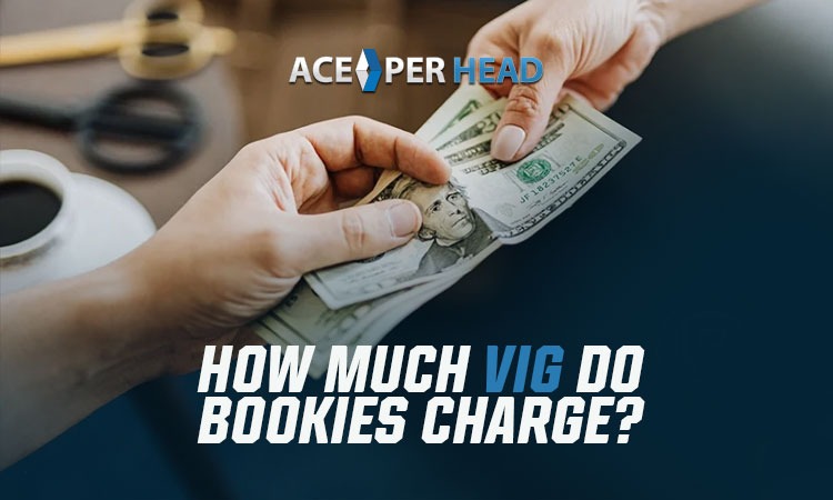How Much Vig Do Bookies Charge