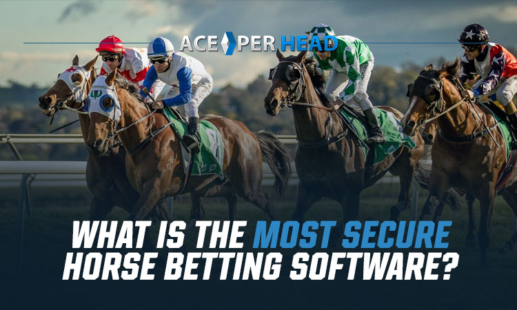 What Is the Most Secure Horse Betting Software?