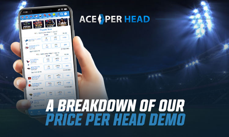 A Breakdown of Our Price Per Head Demo