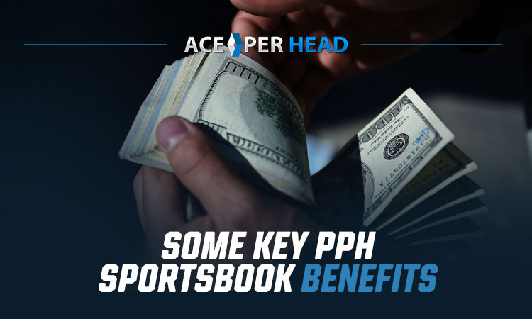 Some Key PPH Sportsbook Benefits You Should Know About