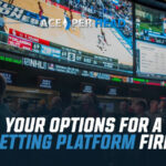Your Options for a Betting Platform Firm