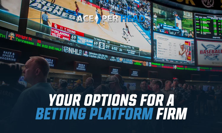 Your Options for a Betting Platform Firm