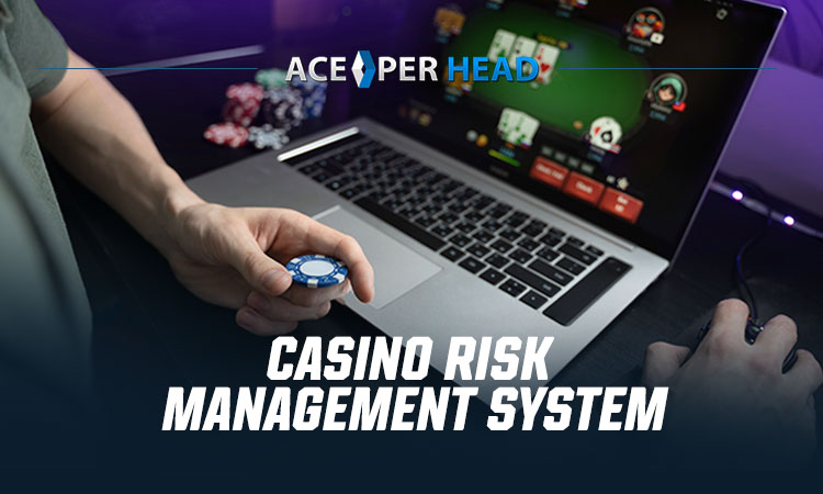 Casino Risk Management System