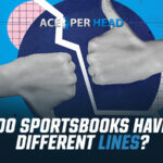 Do Sportsbooks Have Different Lines