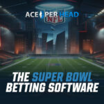 The Super Bowl Betting Software