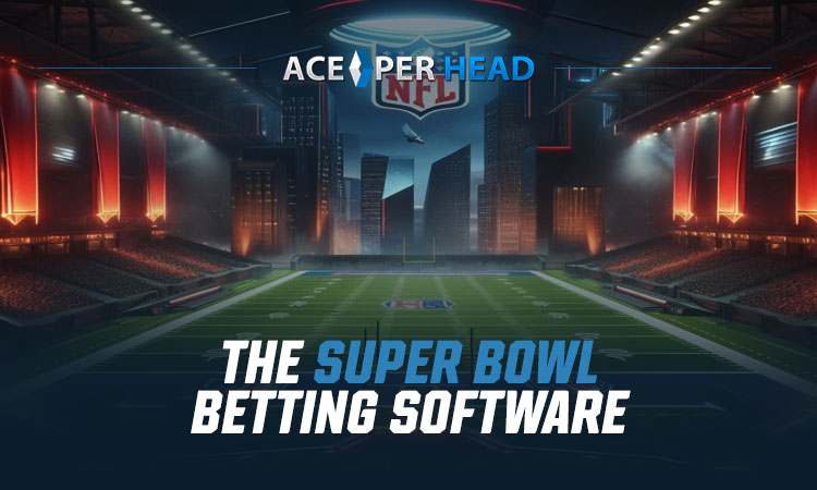 The Super Bowl Betting Software