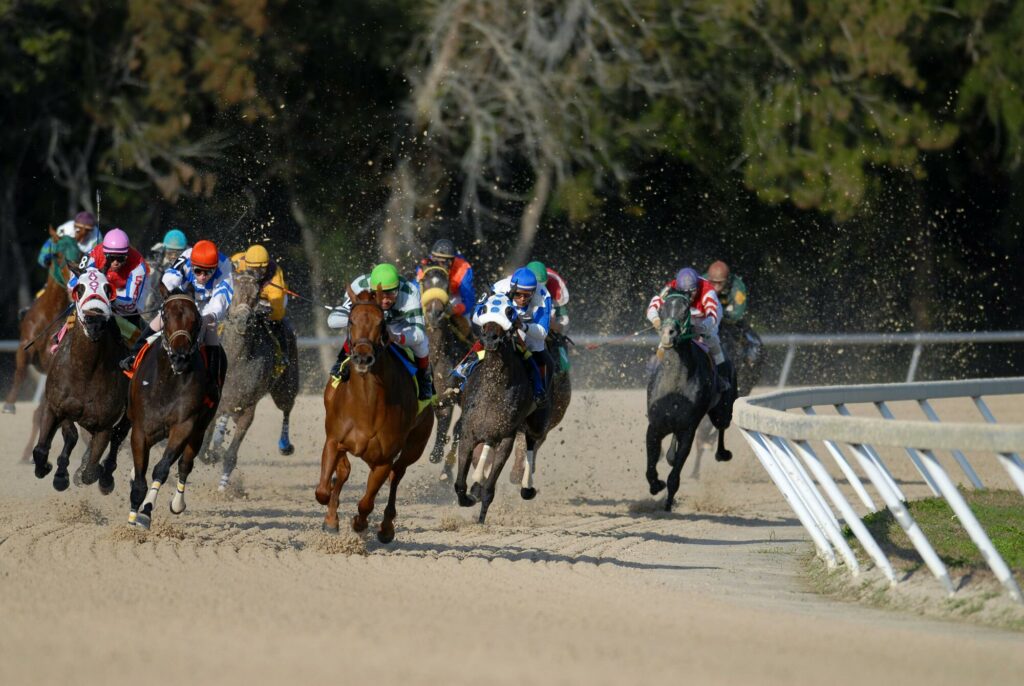 Horse Betting Career