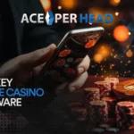 The Ultimate Guide to Turnkey Online Casino Software