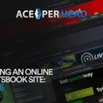 Opening an Online Sportsbook Site: 7 Steps