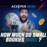 The Small Bookie's Blueprint: How to Build a $5,000/Month Business From Scratch Small Bookies Income