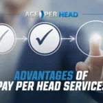 What Are the Advantages of Price Per Player Services? Price Per Player Advantages